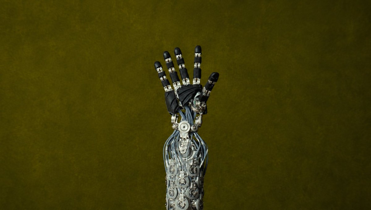 Dexterous Hands Are Becoming a Market of Their Own