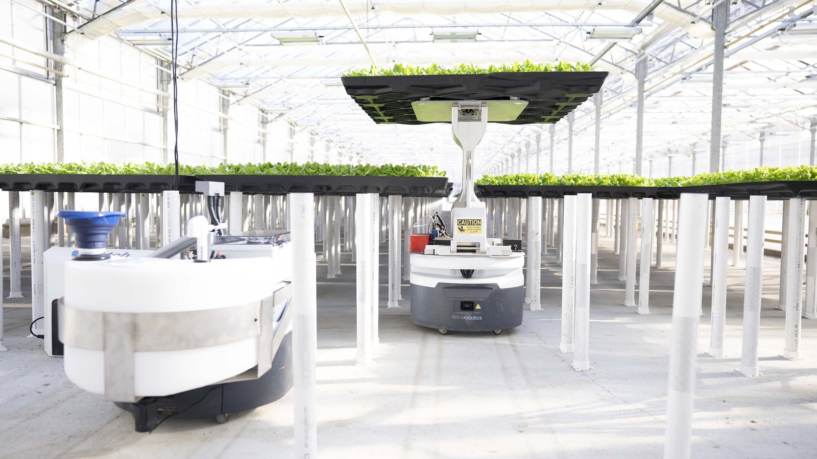 Hippo Harvest raises $30M for robotic greenhouse expansion in California