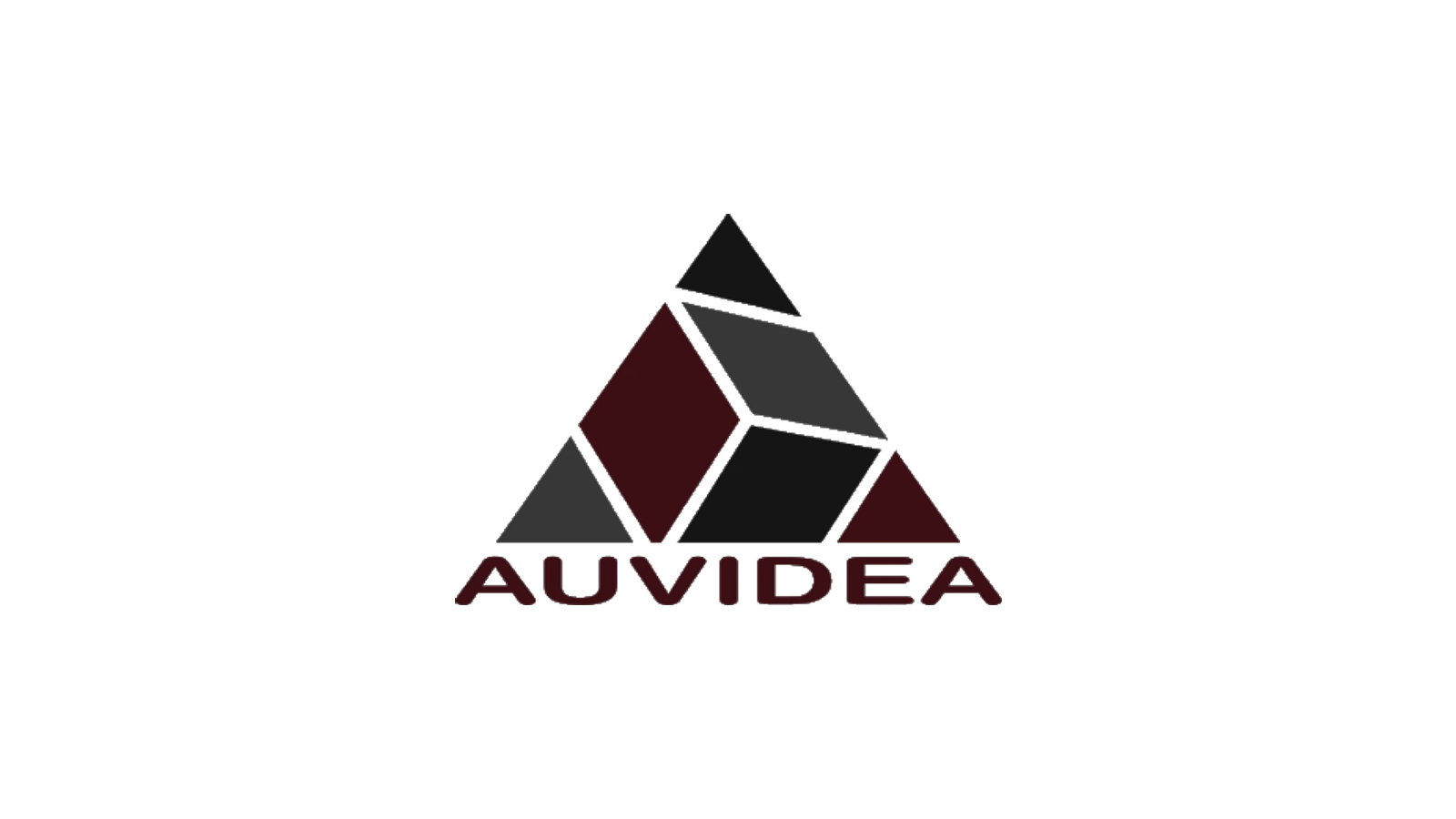 Auvidea company media