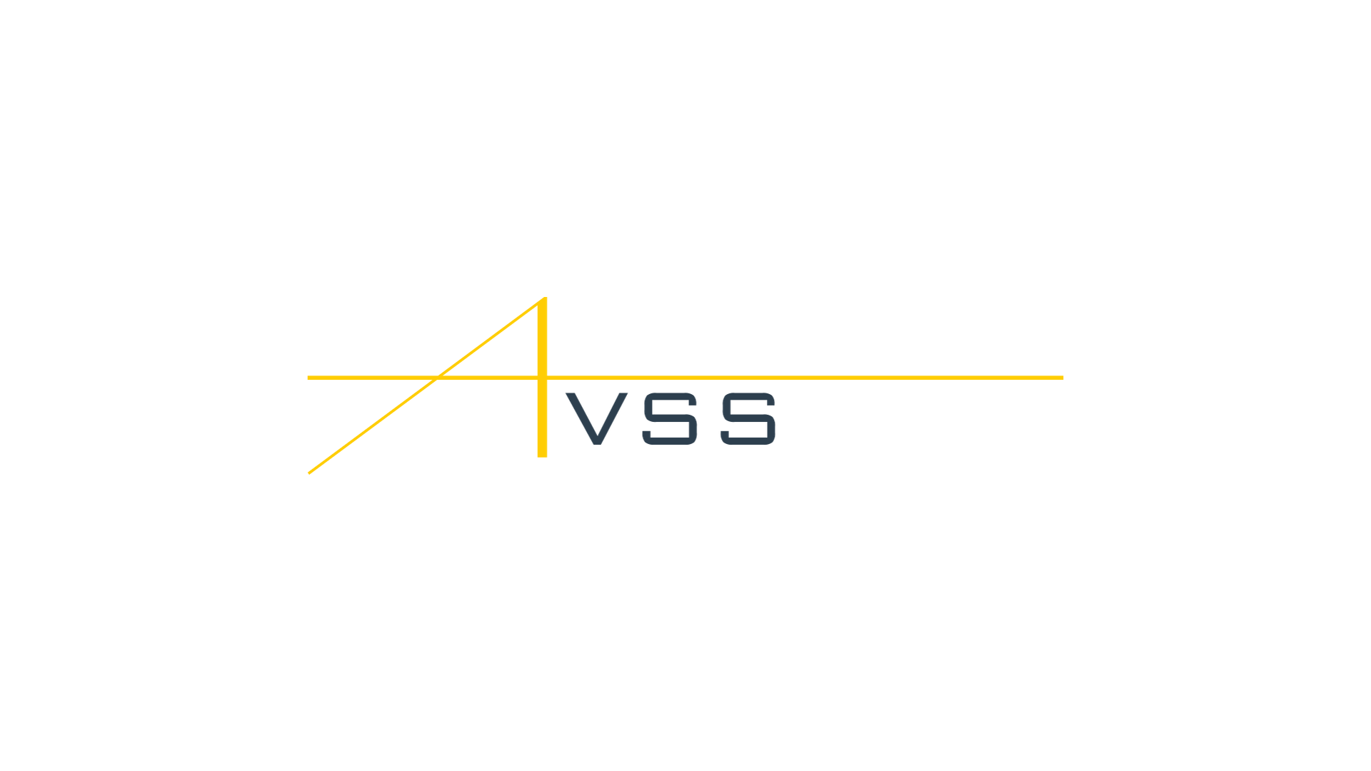 AVSS company media