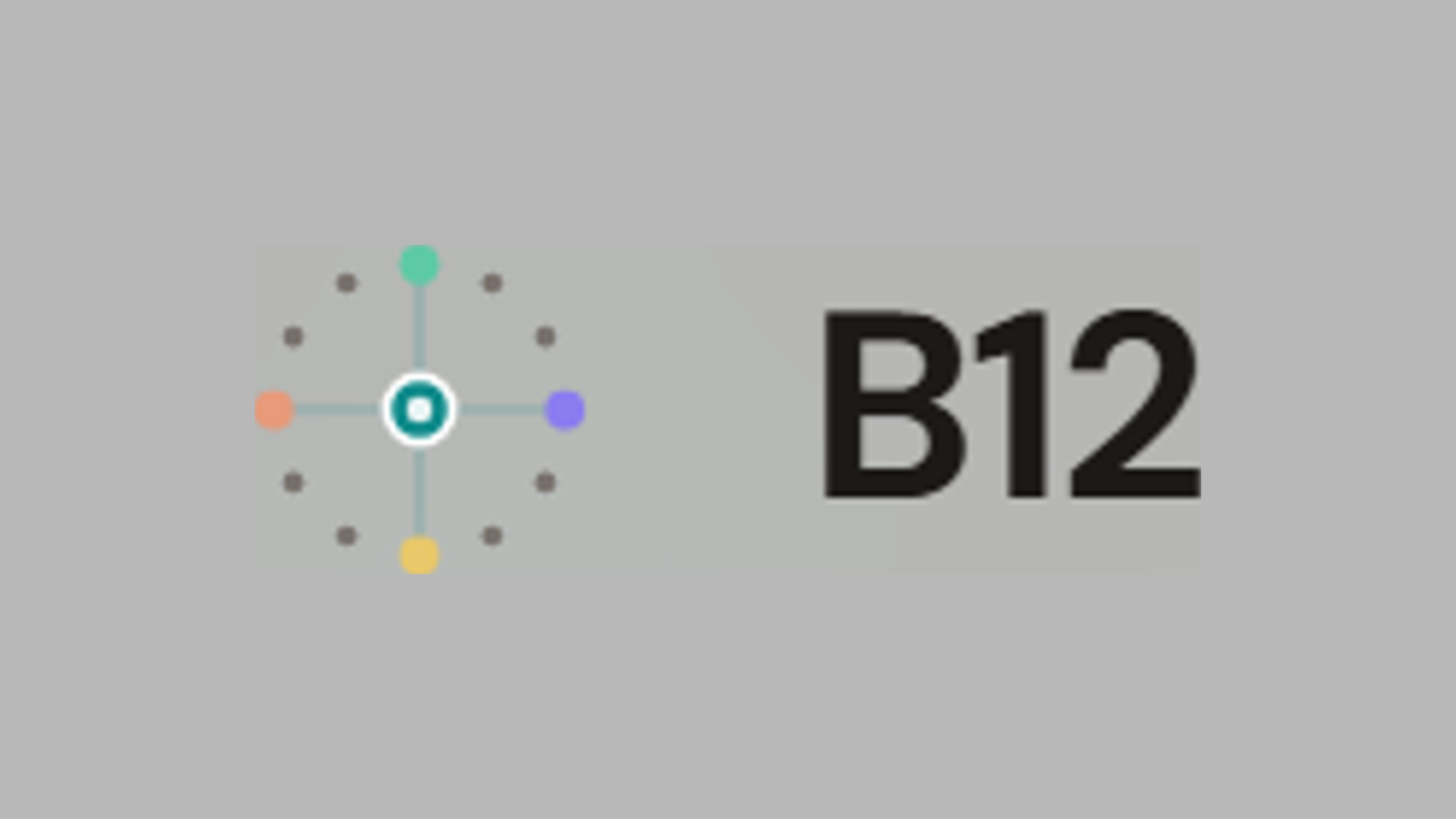 b12 Labs