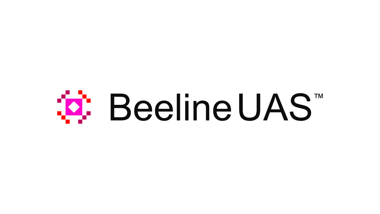 Beeline UAS