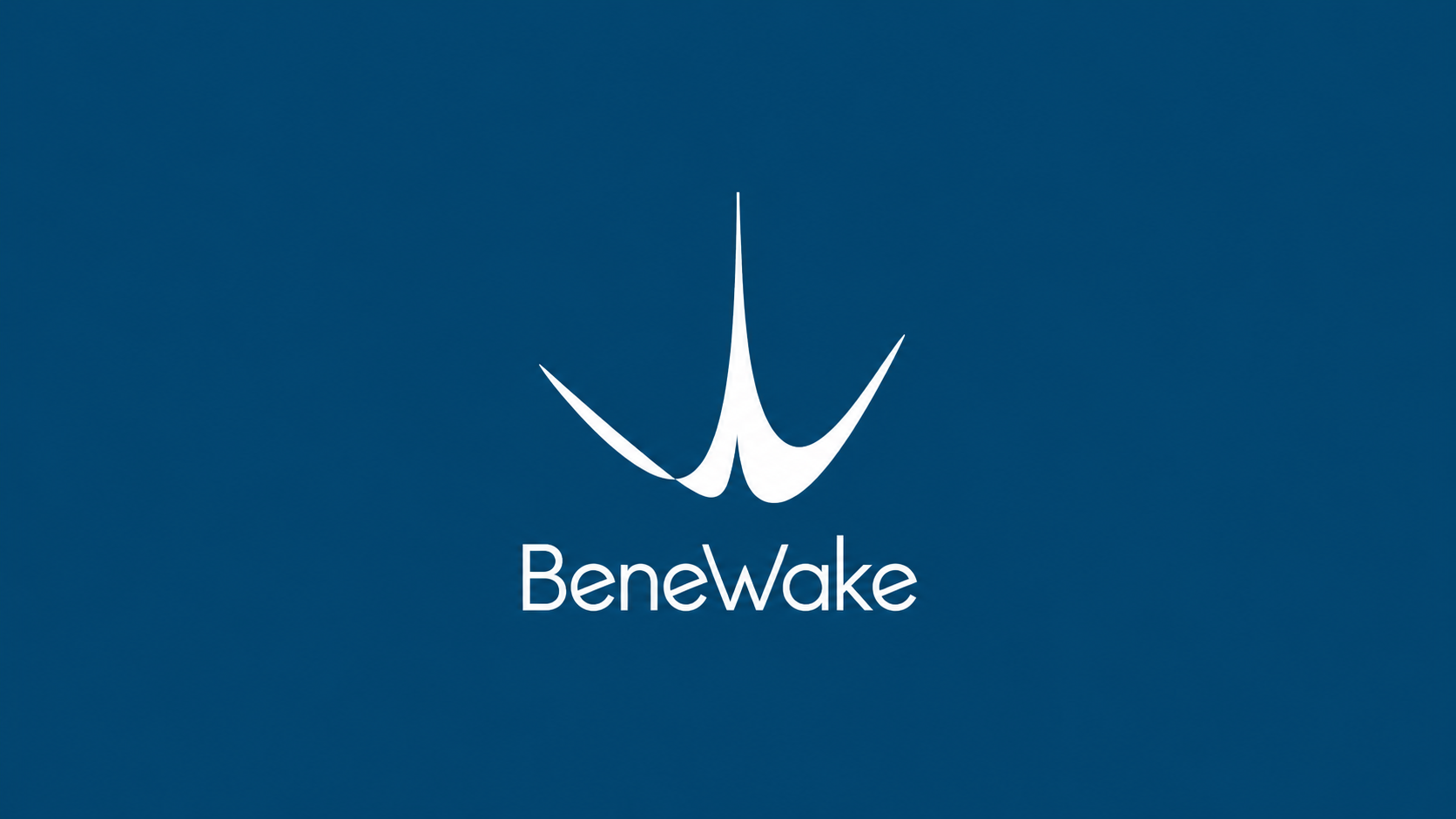 Benewake company media