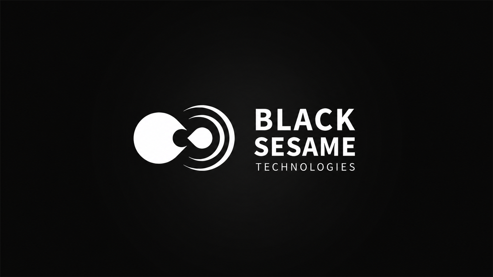 Black Sesame Technologies company media