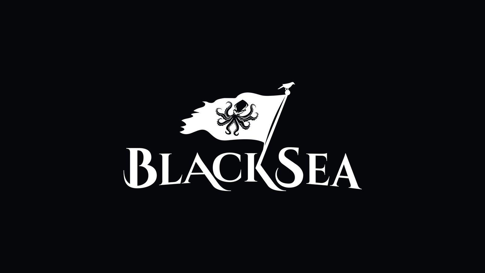 BlackSea Technologies company media