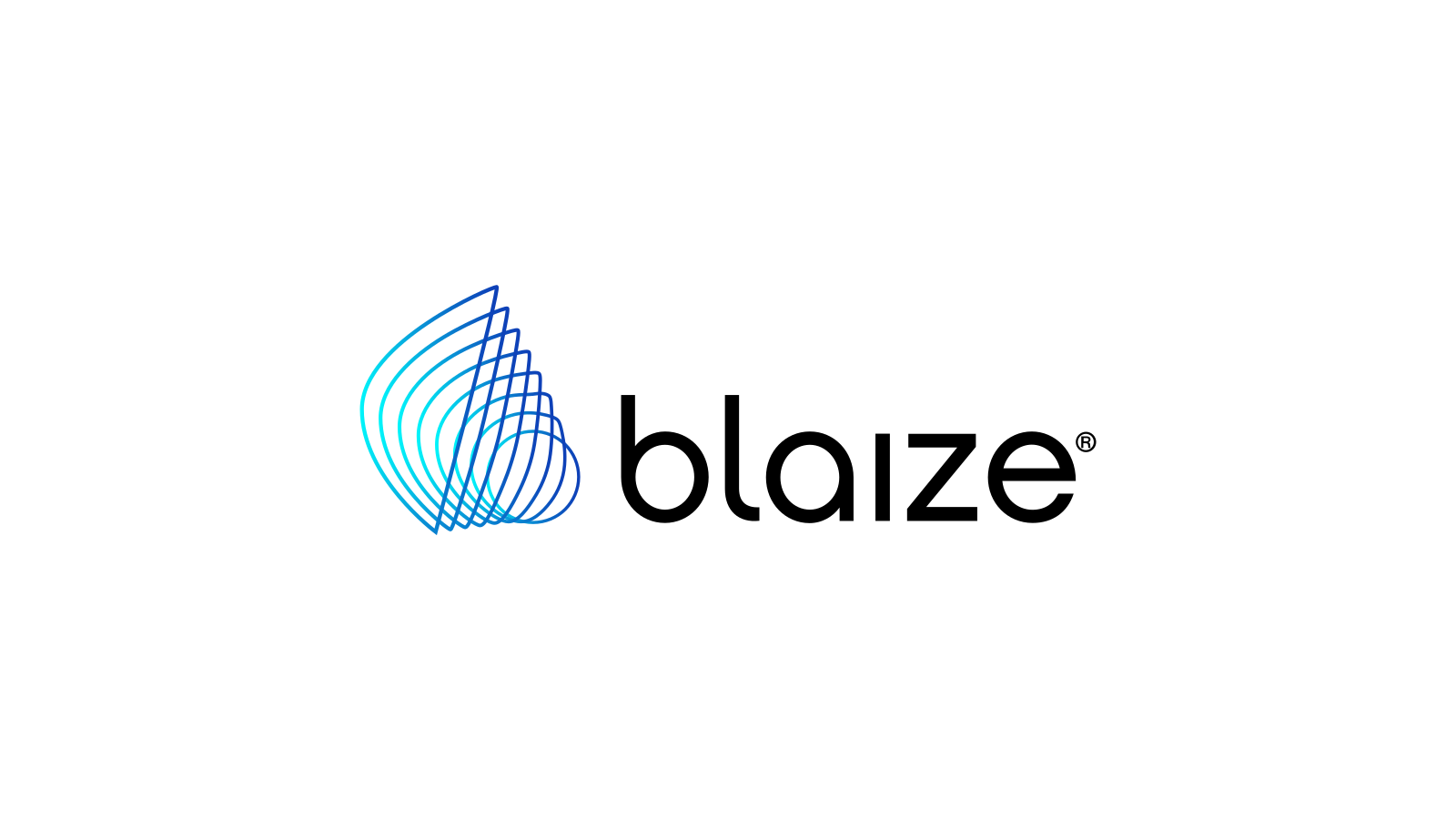 Blaize company media