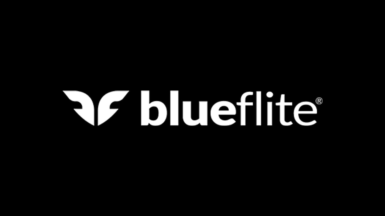 Blueflite company media