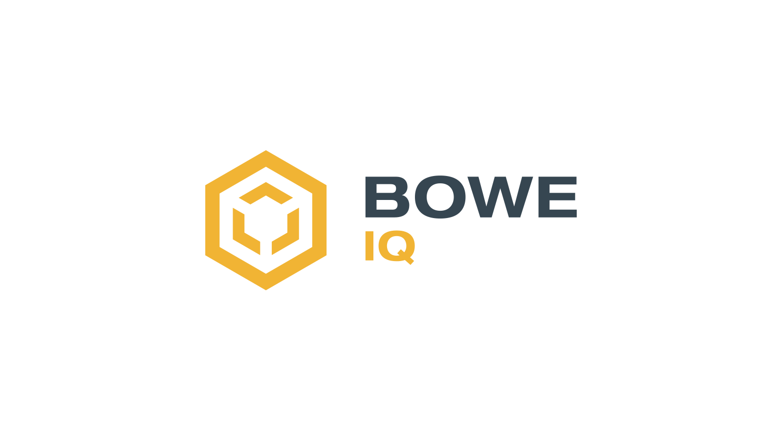 BOWE IQ company media