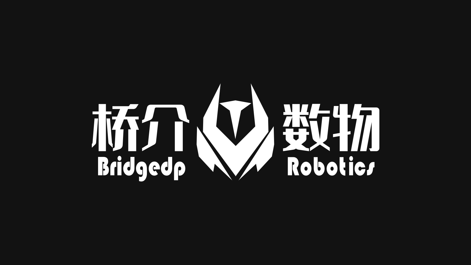 BridgeDP Robotics company media