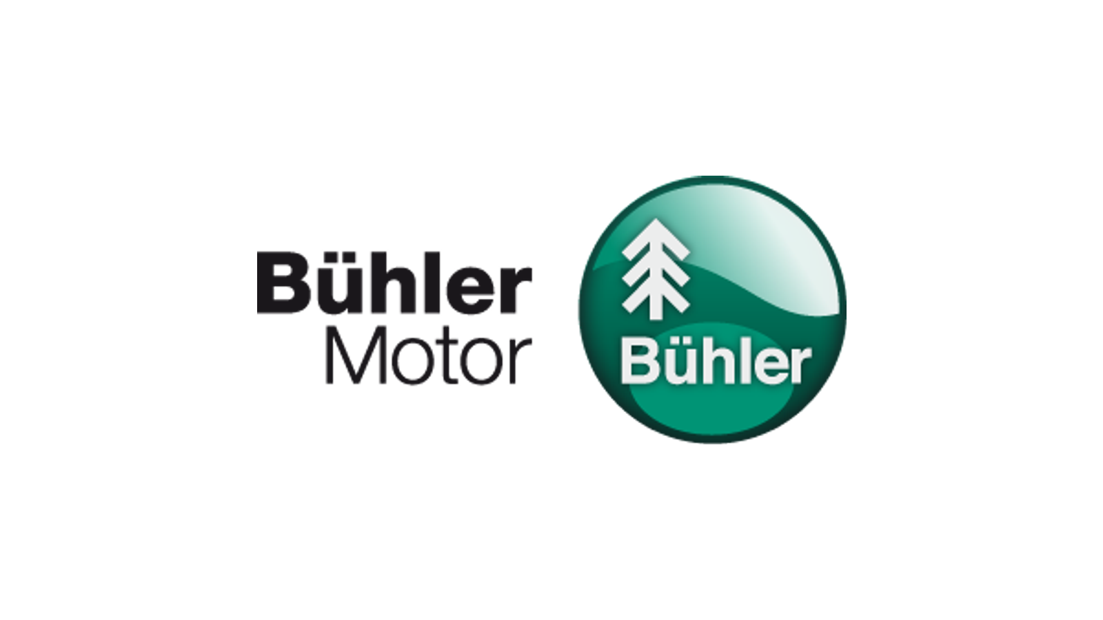 Bühler Motor