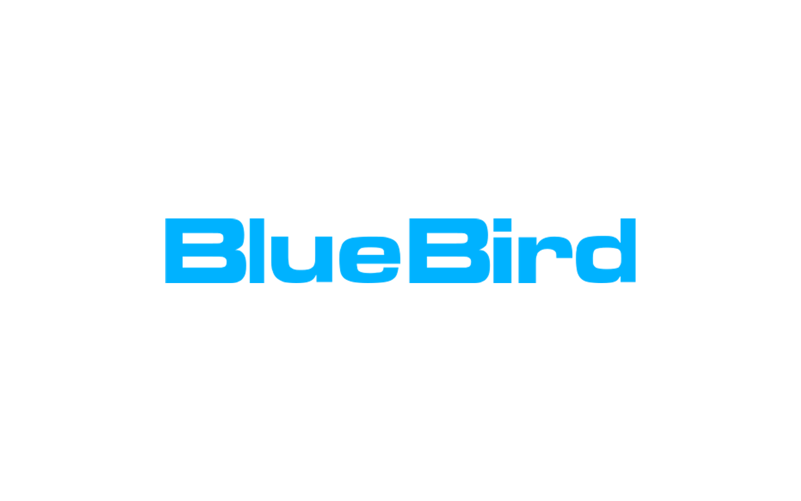 BlueBird Aero Systems company media