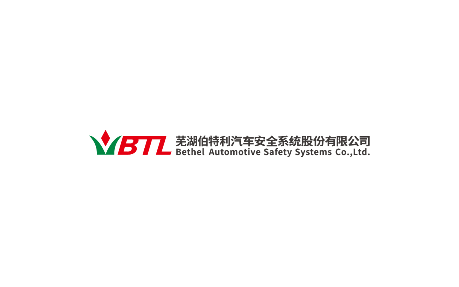 Wuhu Bethel Automotive Safety Systems Co., Ltd. company media