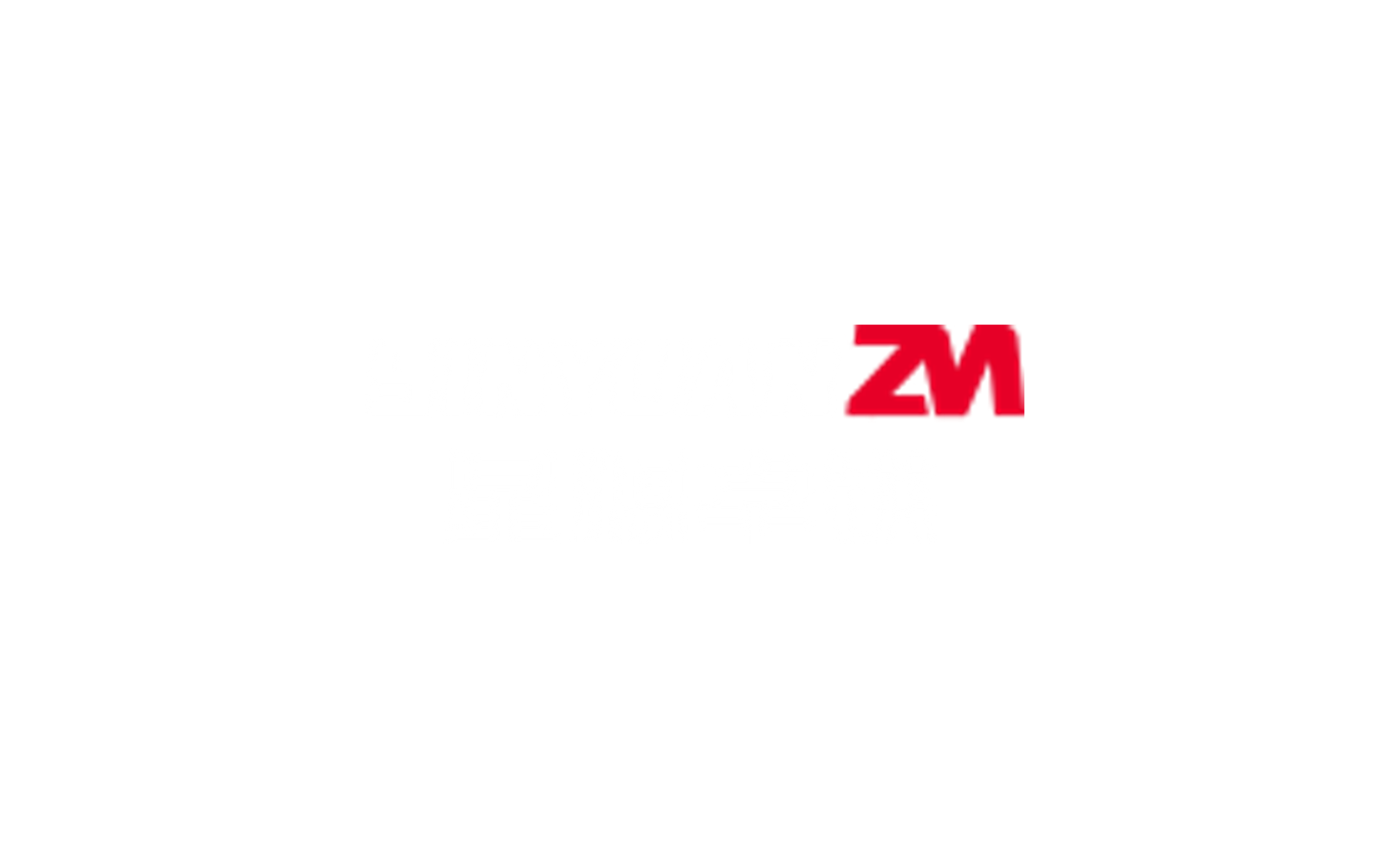 Xingyuan Zhuomei company media