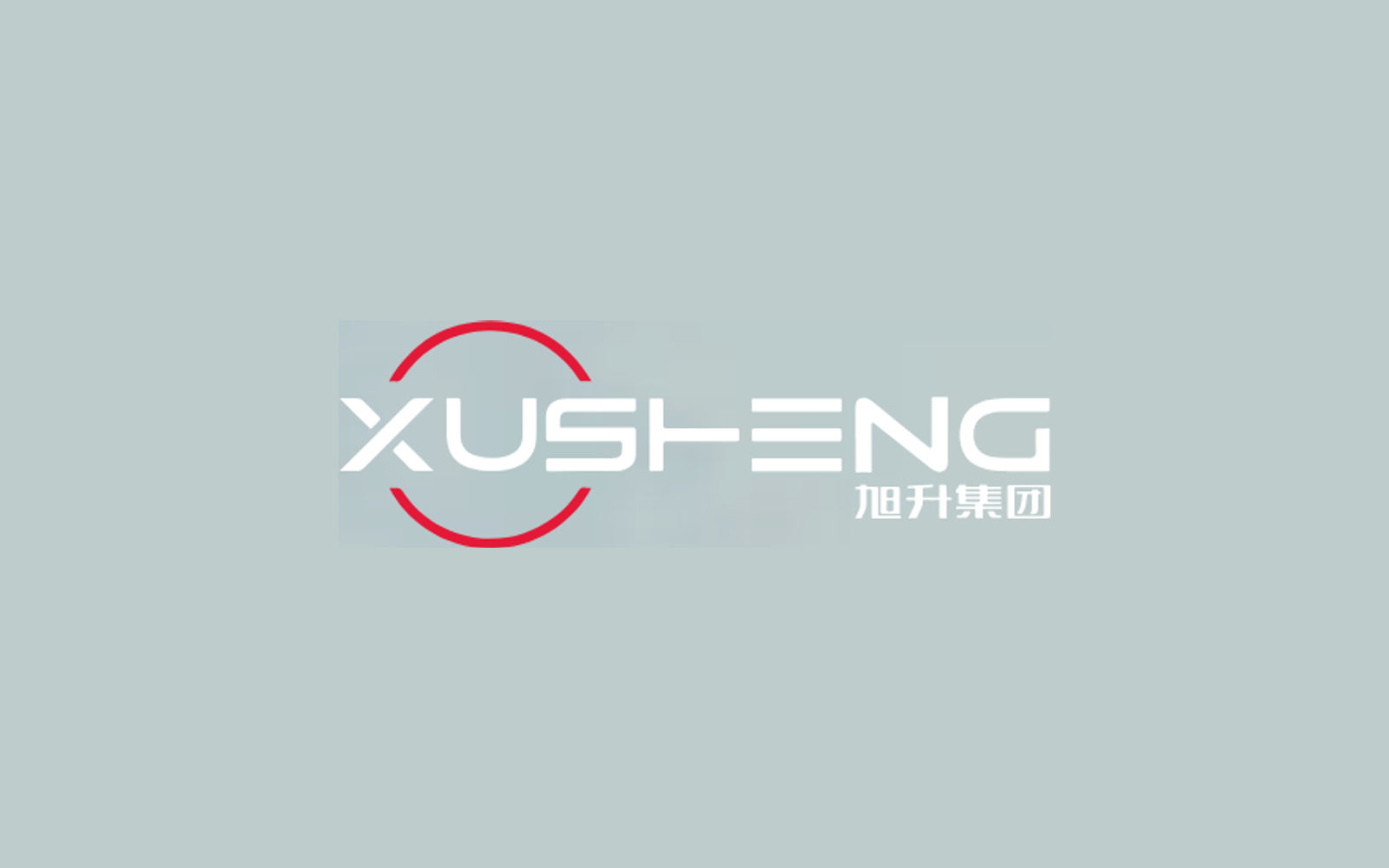 Xusheng Group company media