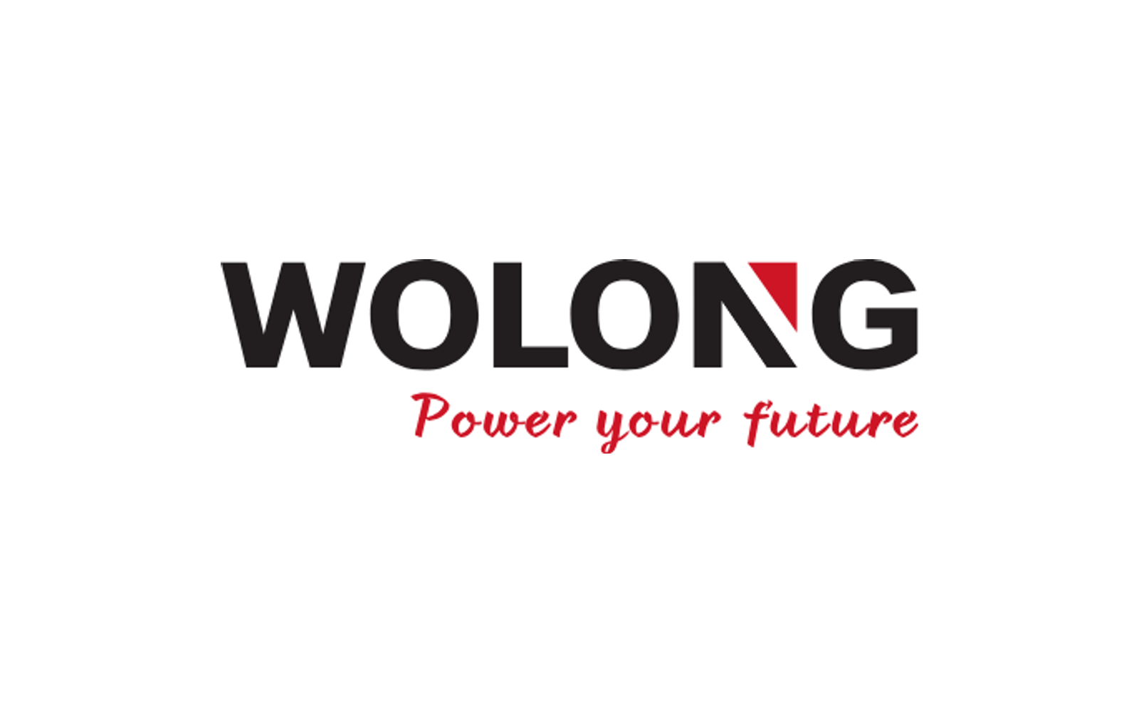 Wolong Electric company media
