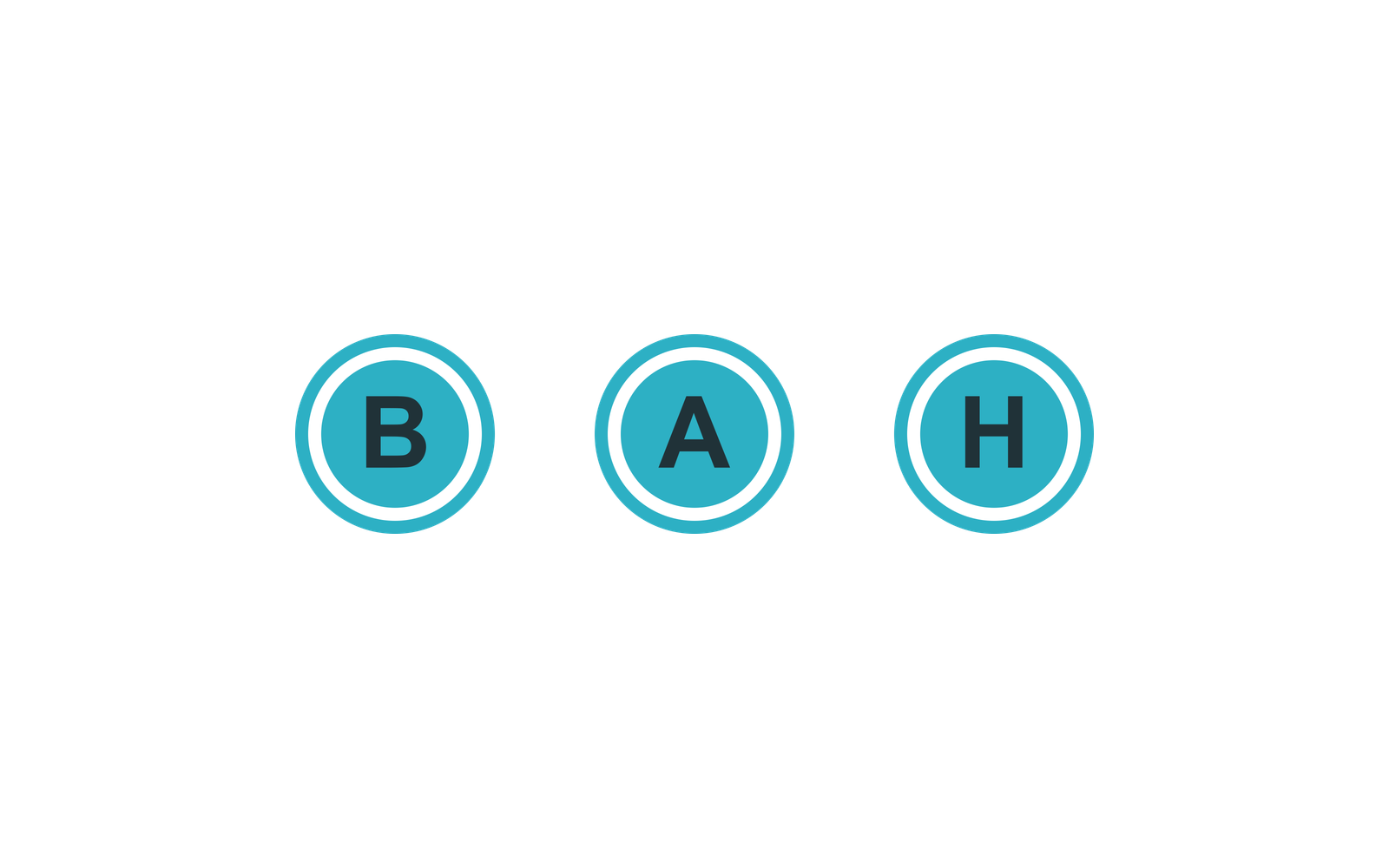 B.A.H. Industrial Solutions company media