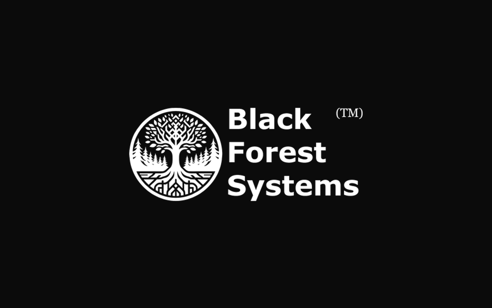 Black Forest Systems company media