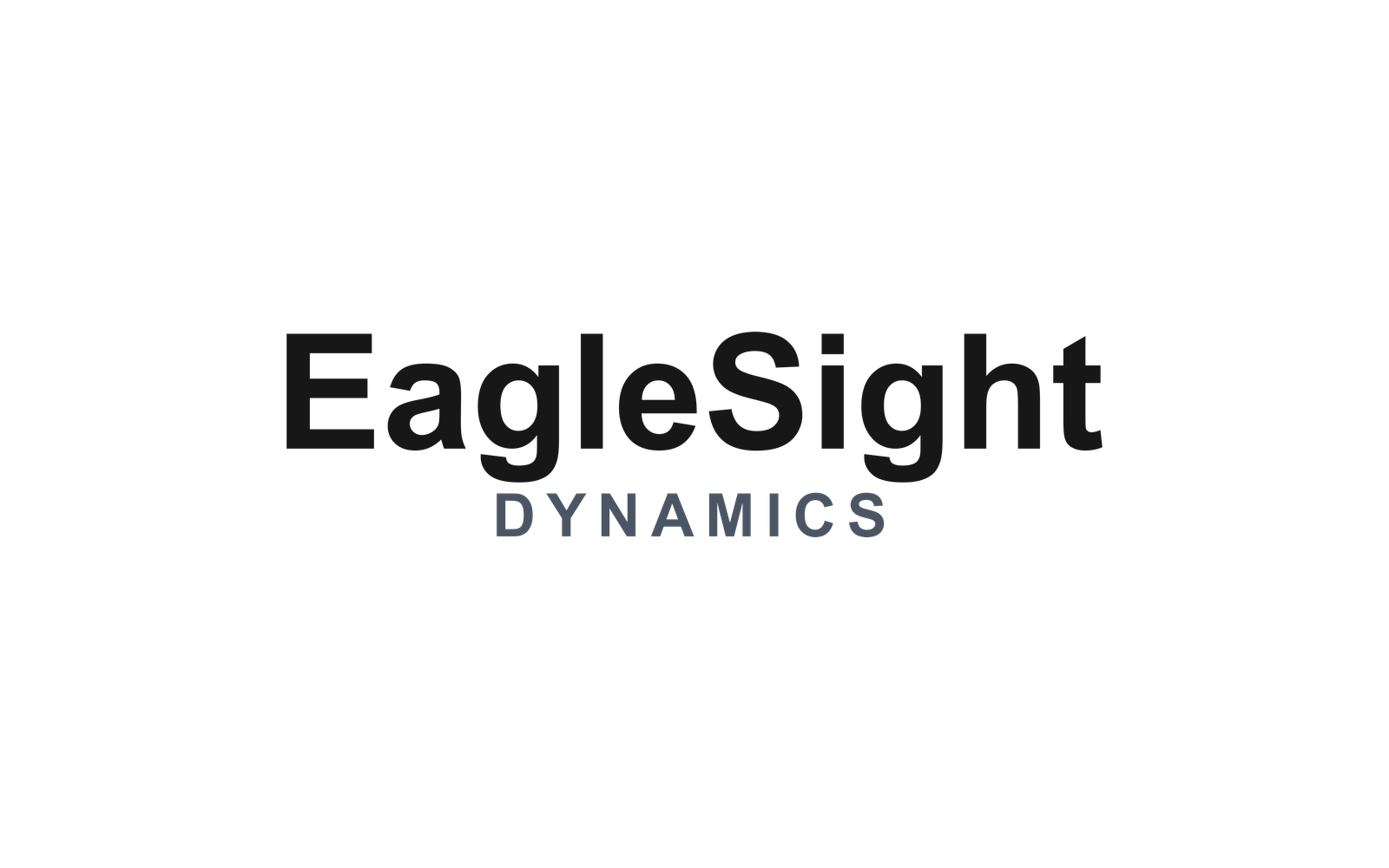 EagleSight Dynamics company media