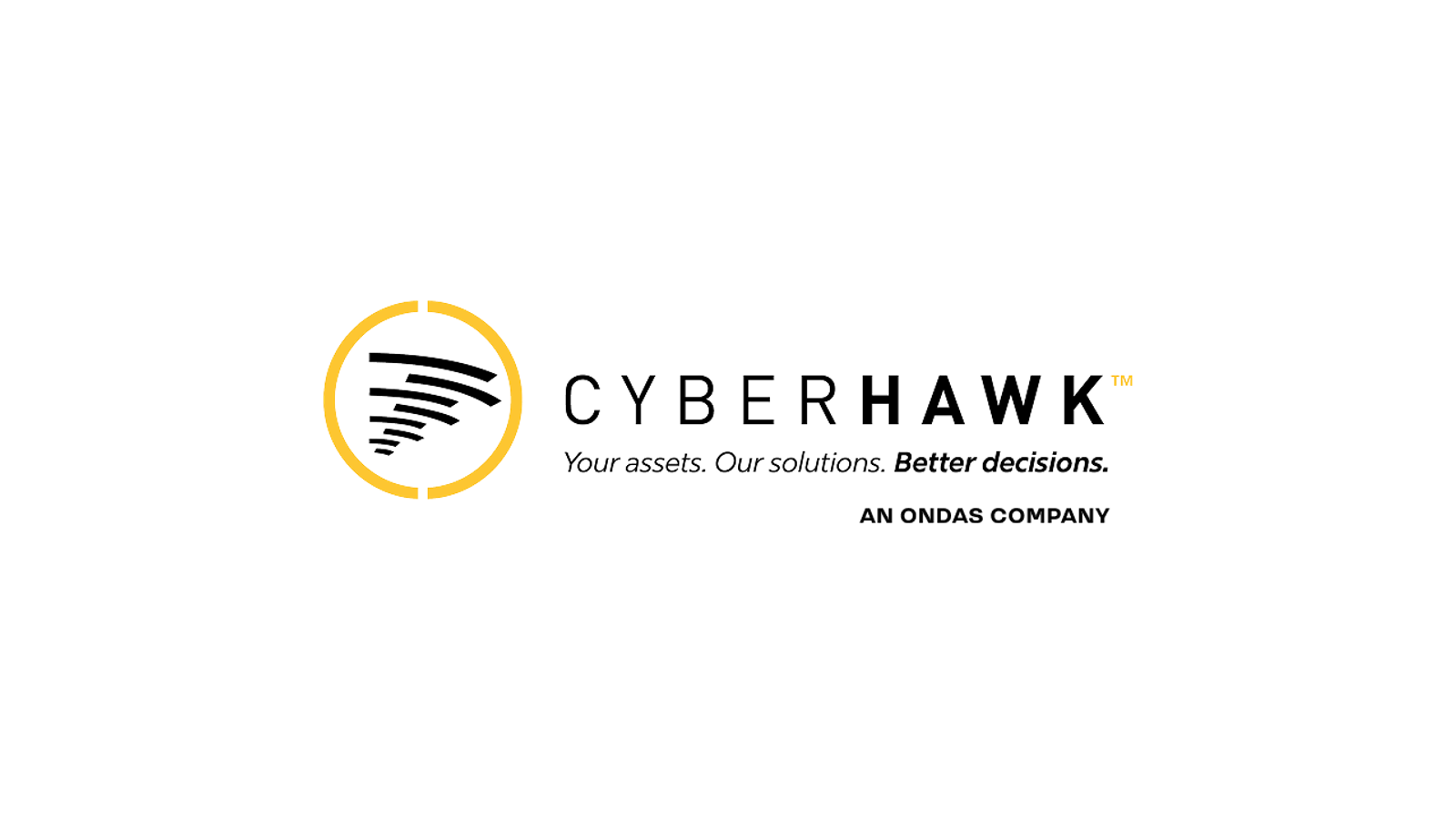 Cyberhawk company media