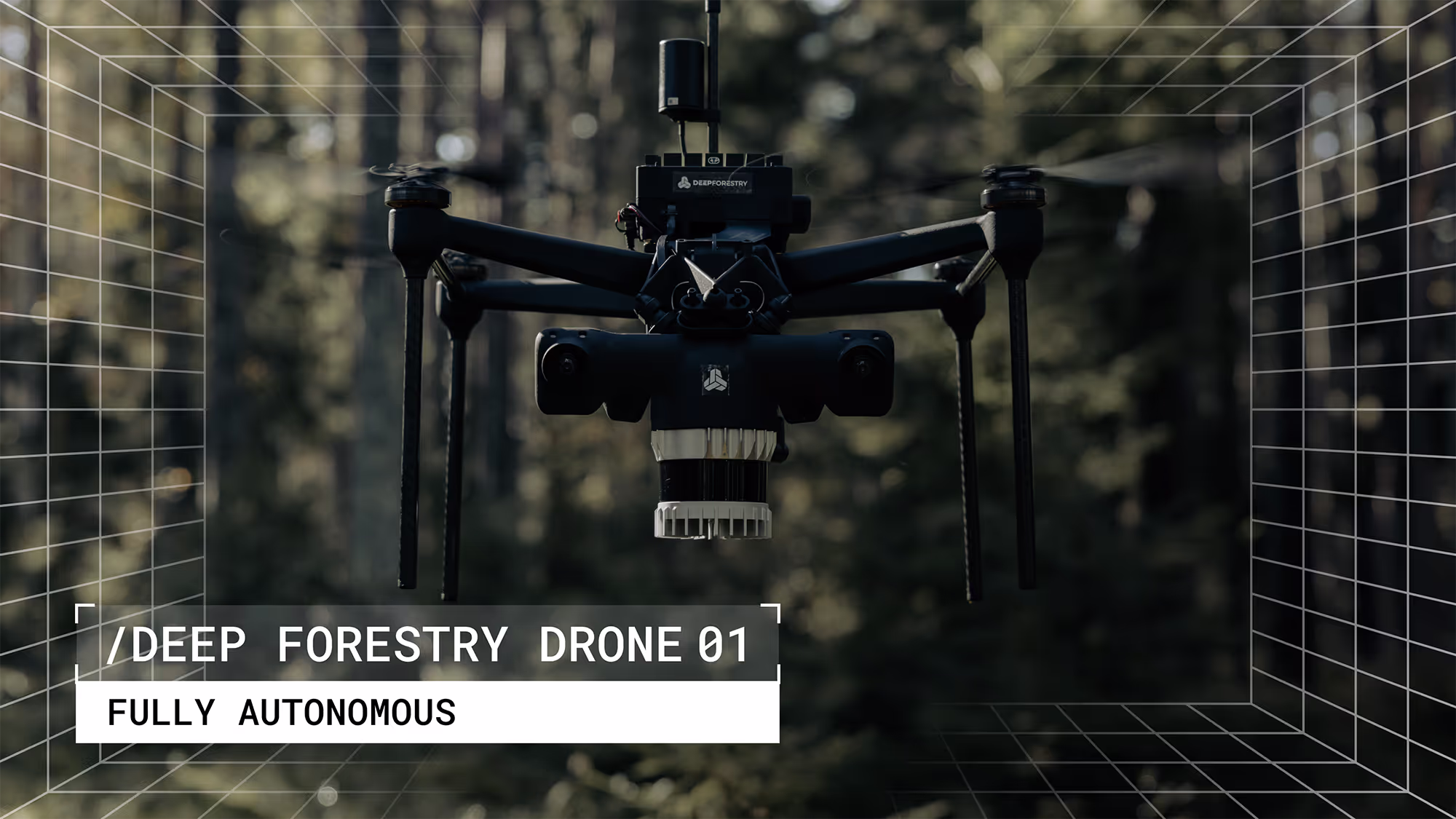 Deep Forestry company media