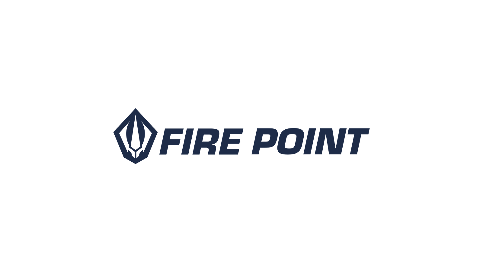 Fire Point company media