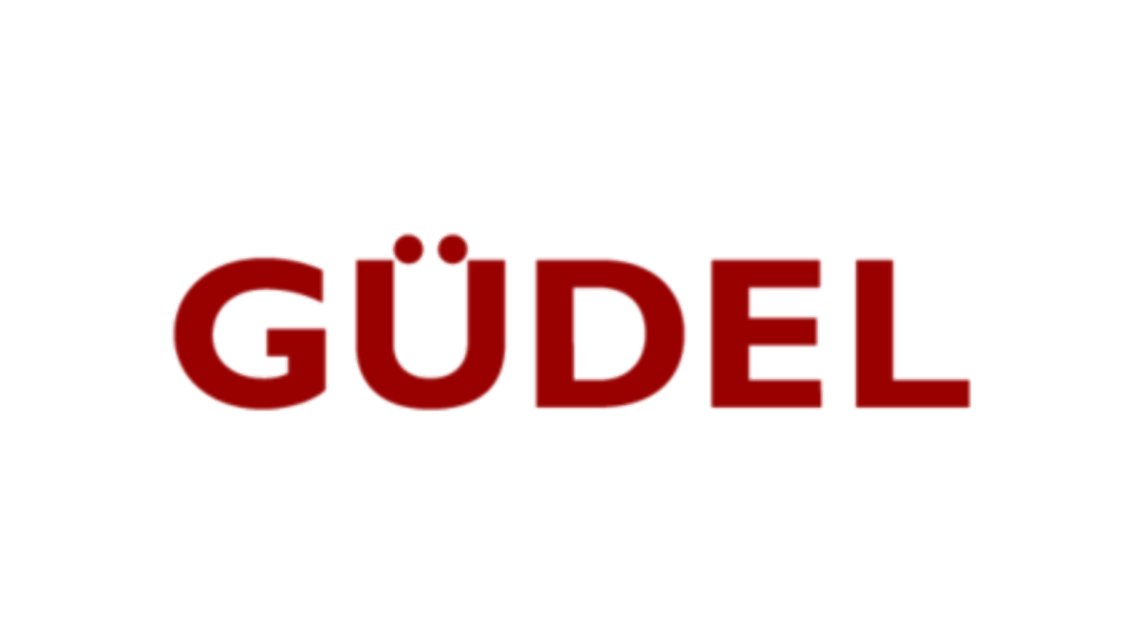 Güdel Group company media