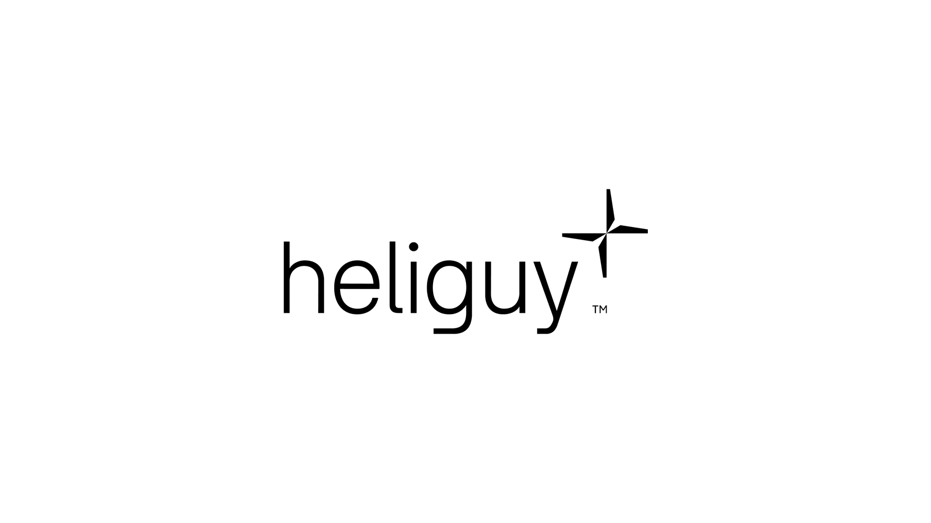 heliguy company media