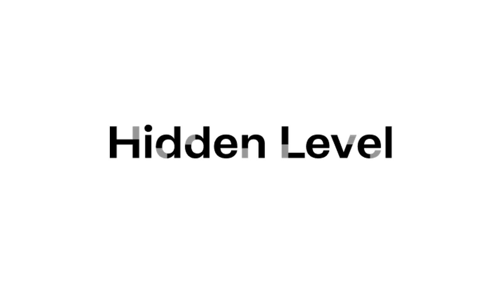 Hidden Level company media