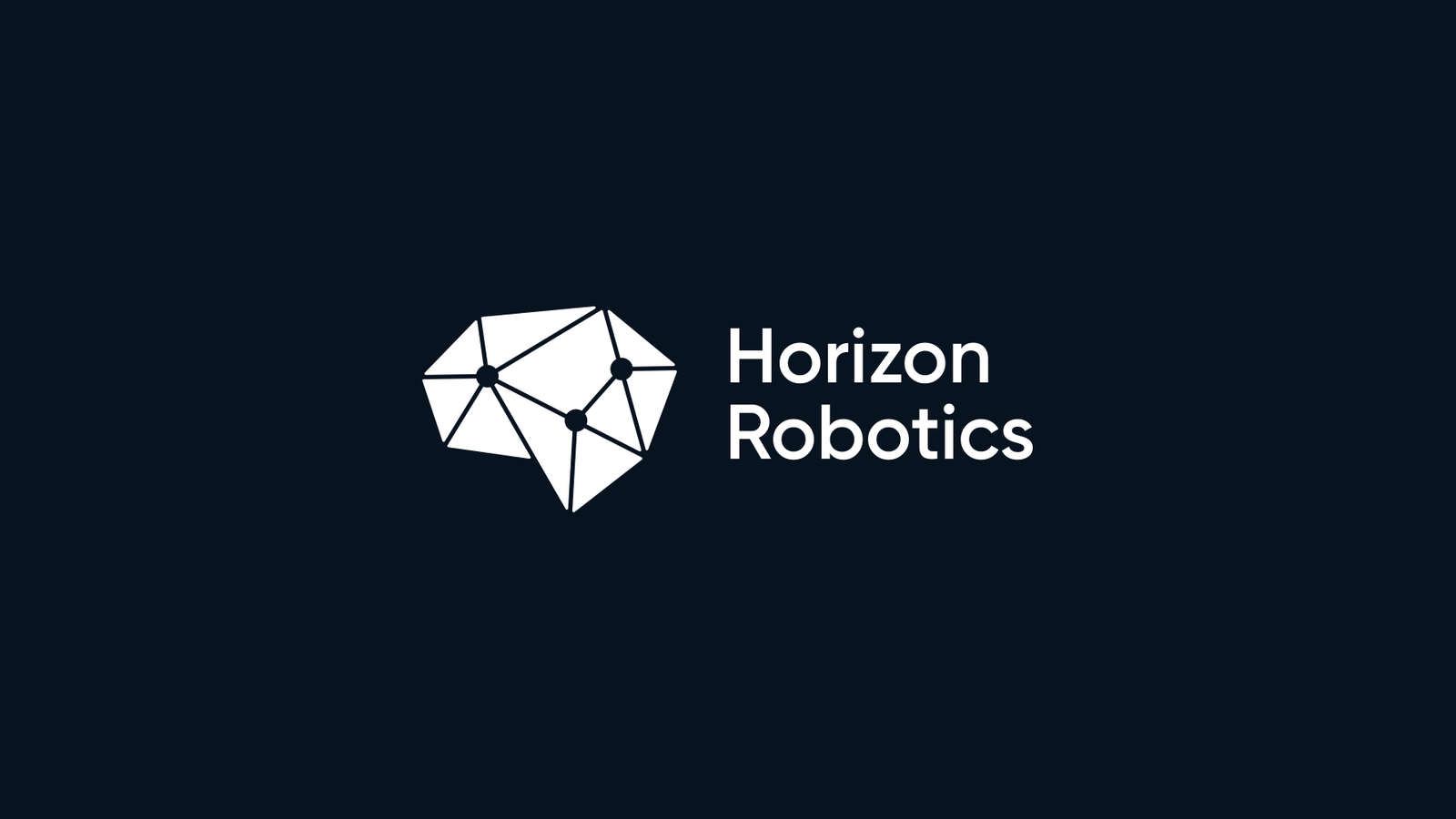 Horizon Robotics company media
