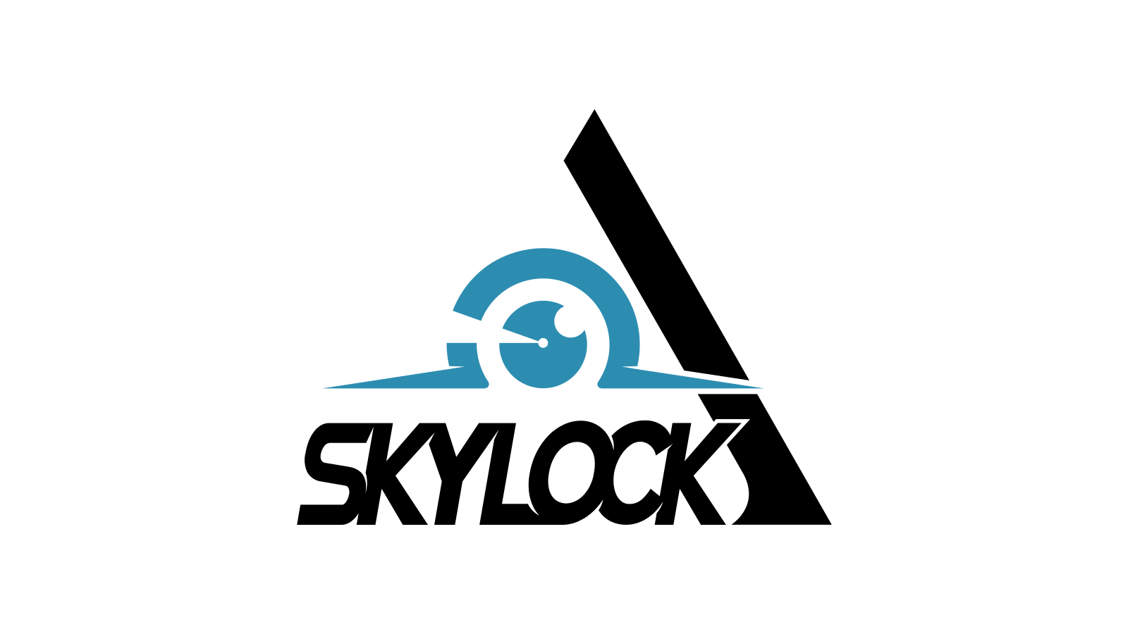 Skylock company media