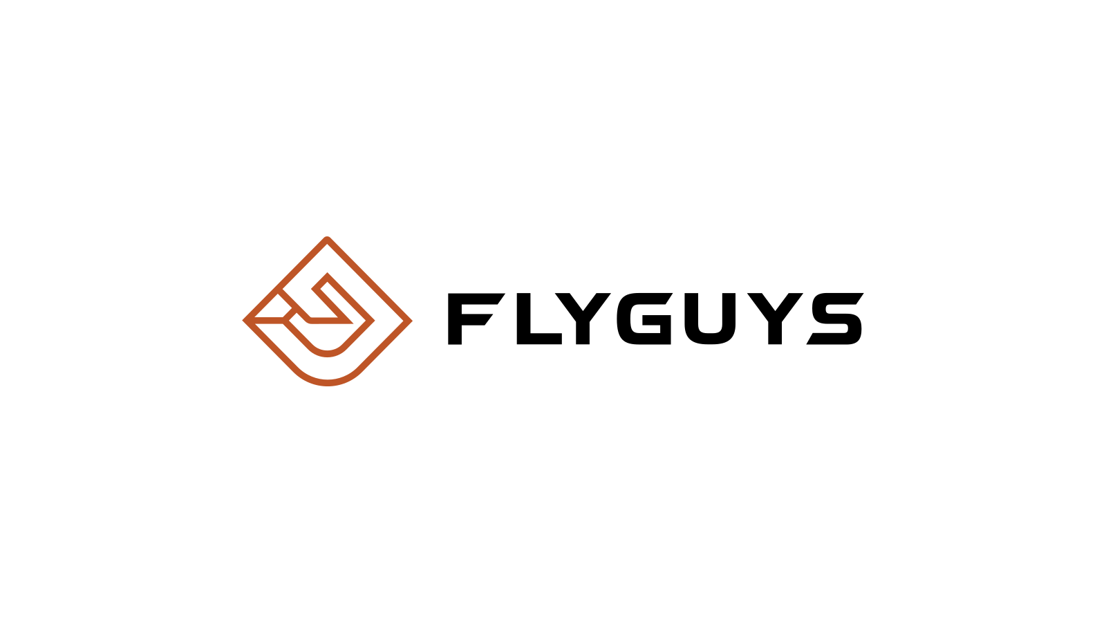 FlyGuys company media