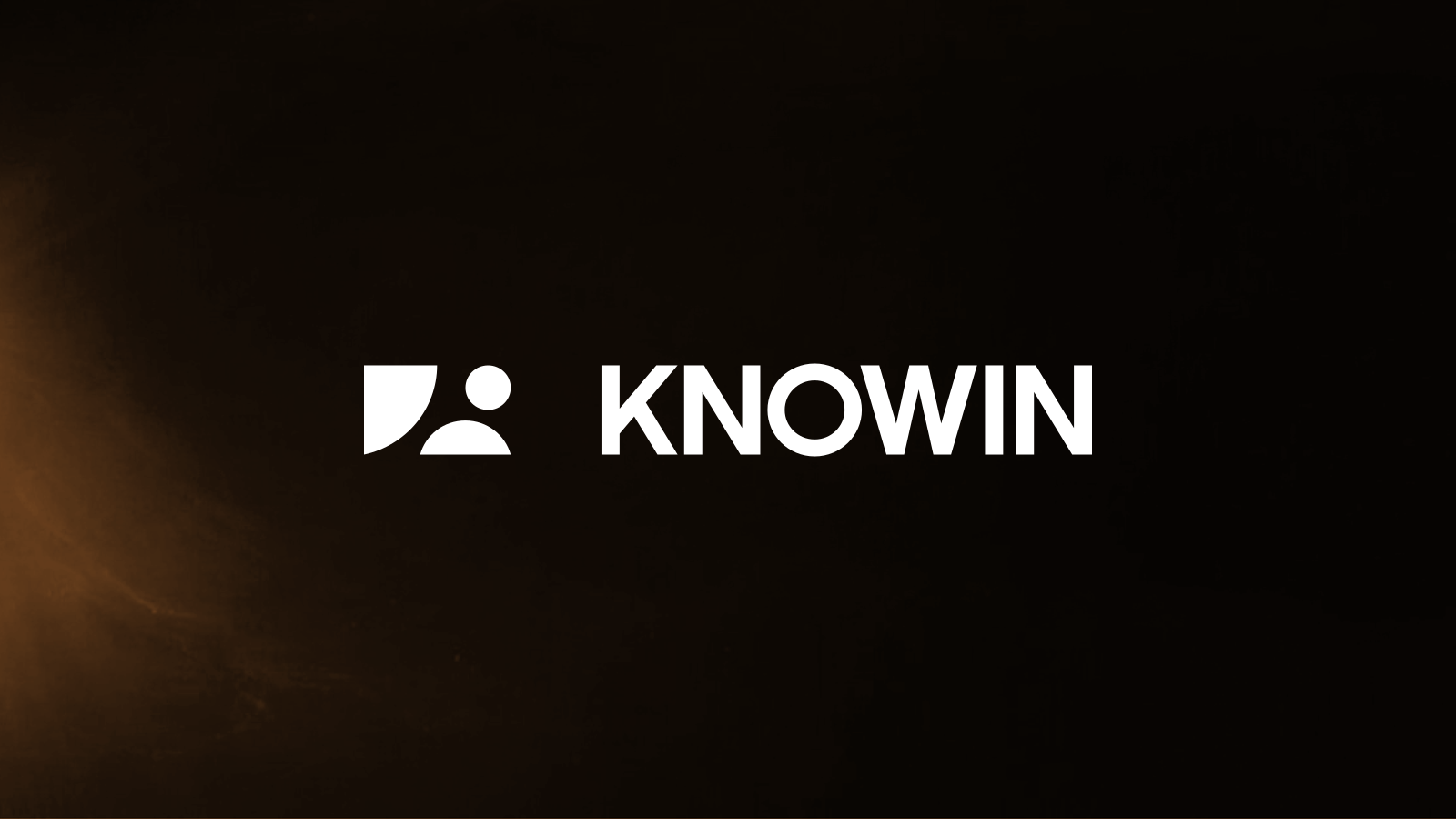 Knowin (诺因智能)