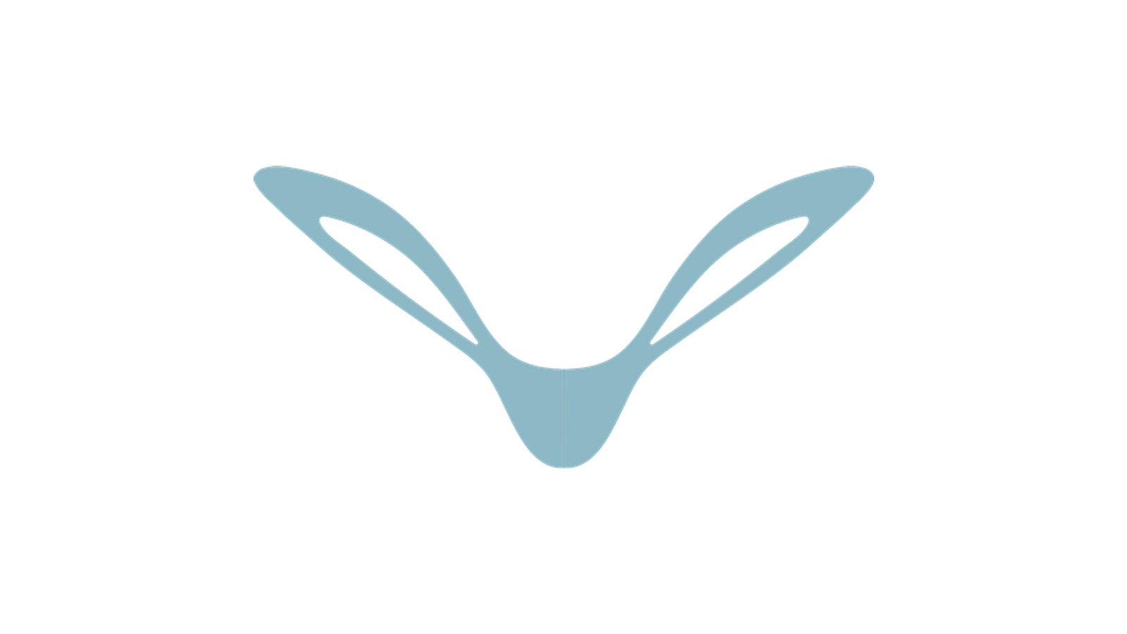 Maple Aviation company media