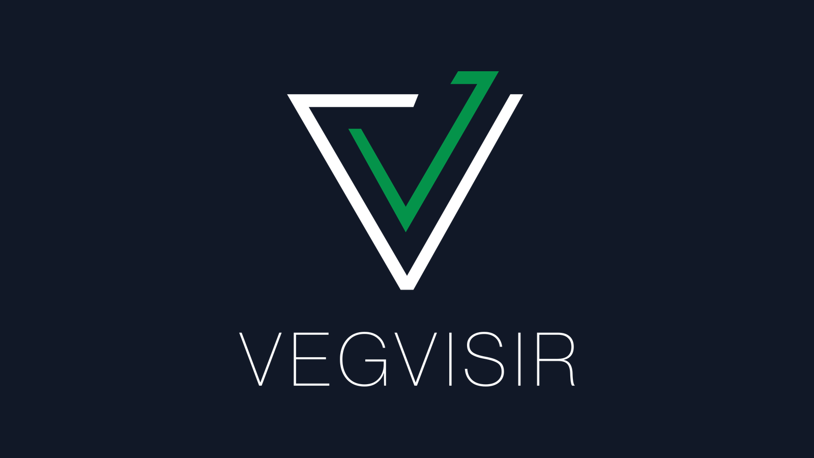 Vegvisir