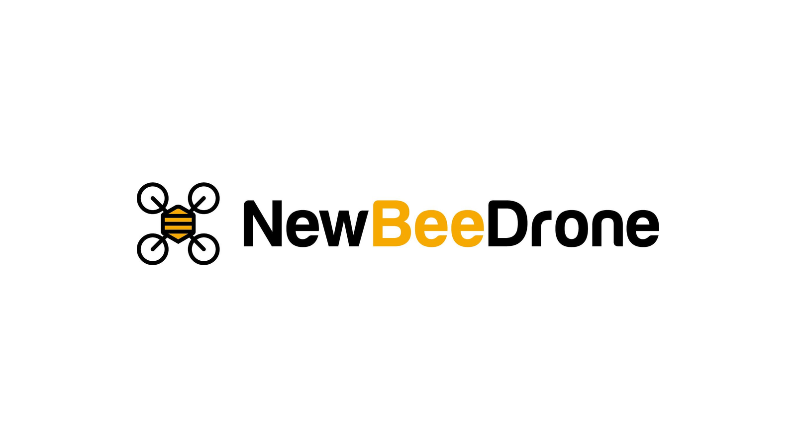 NewBeeDrone
