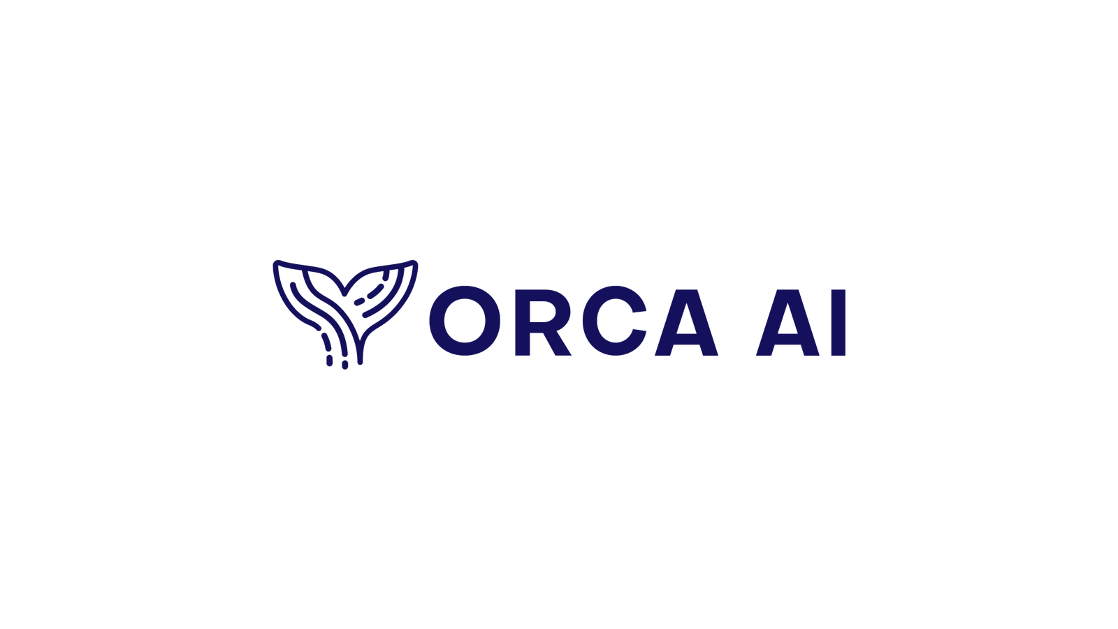 Orca AI company media