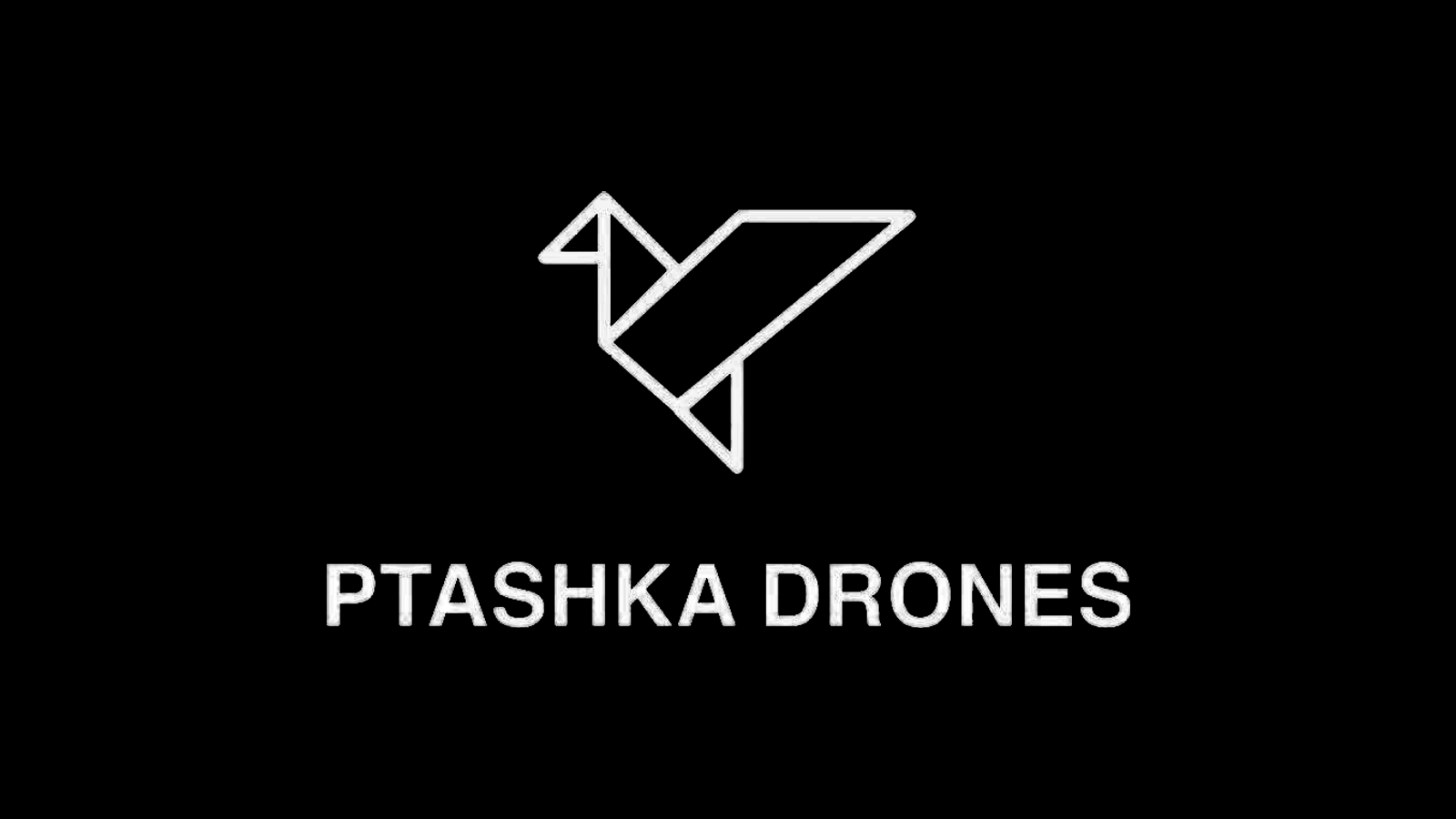 Ptashka Drones