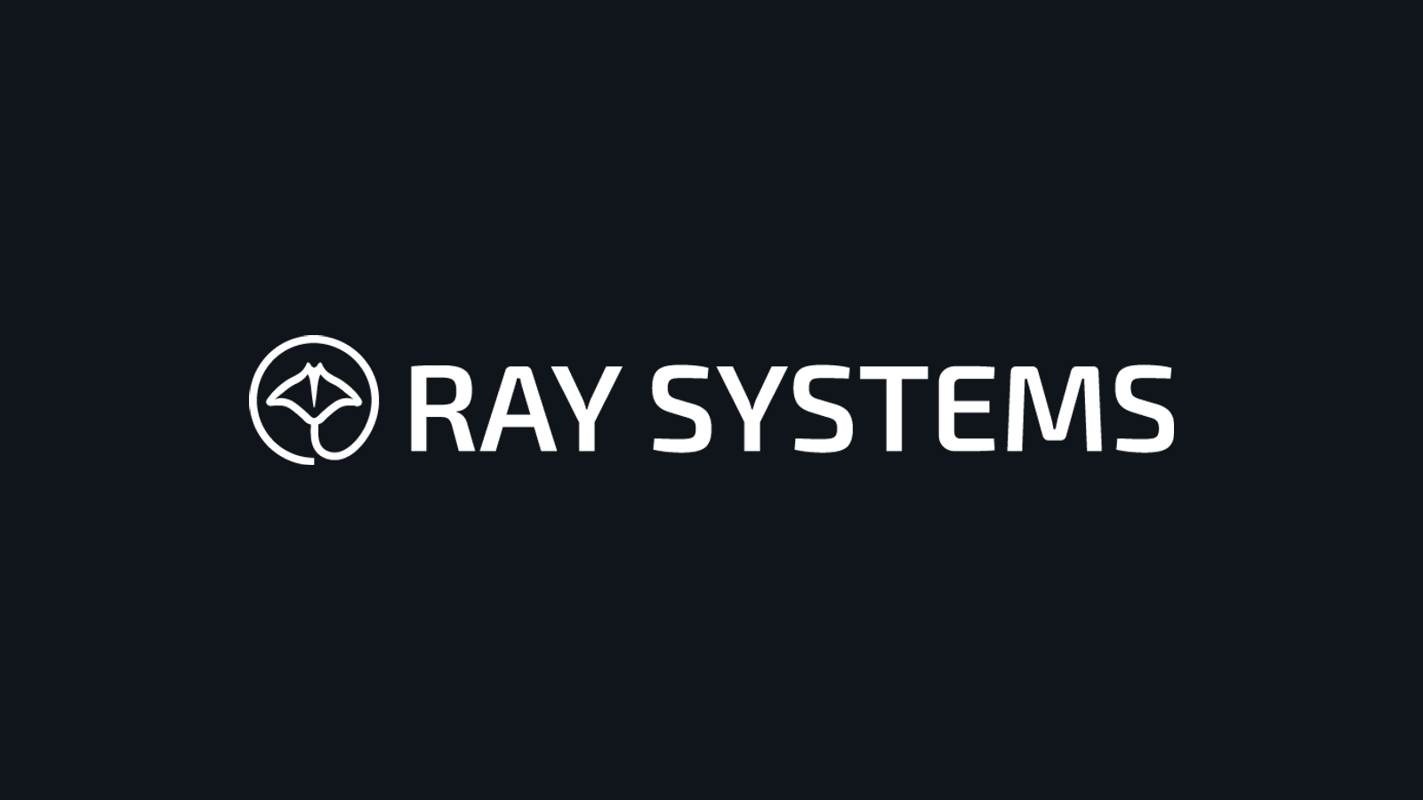 Ray Systems company media