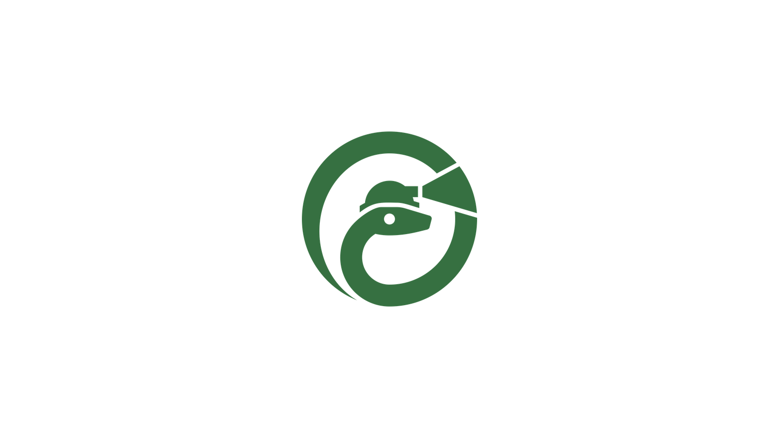 RoBoa company media