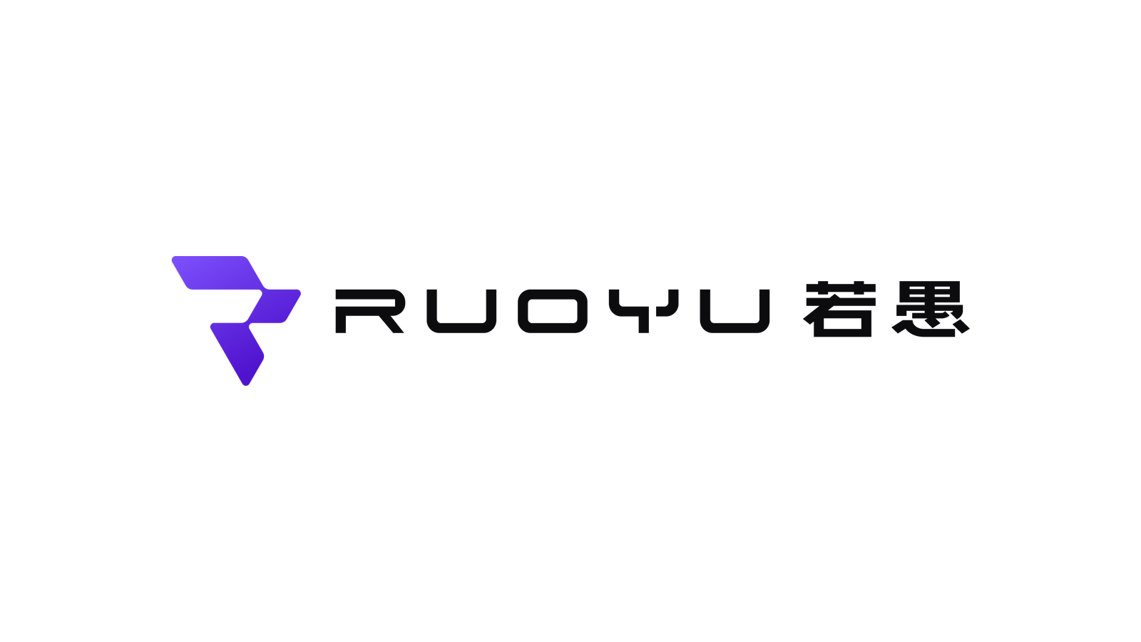 Ruoyu Technology company media