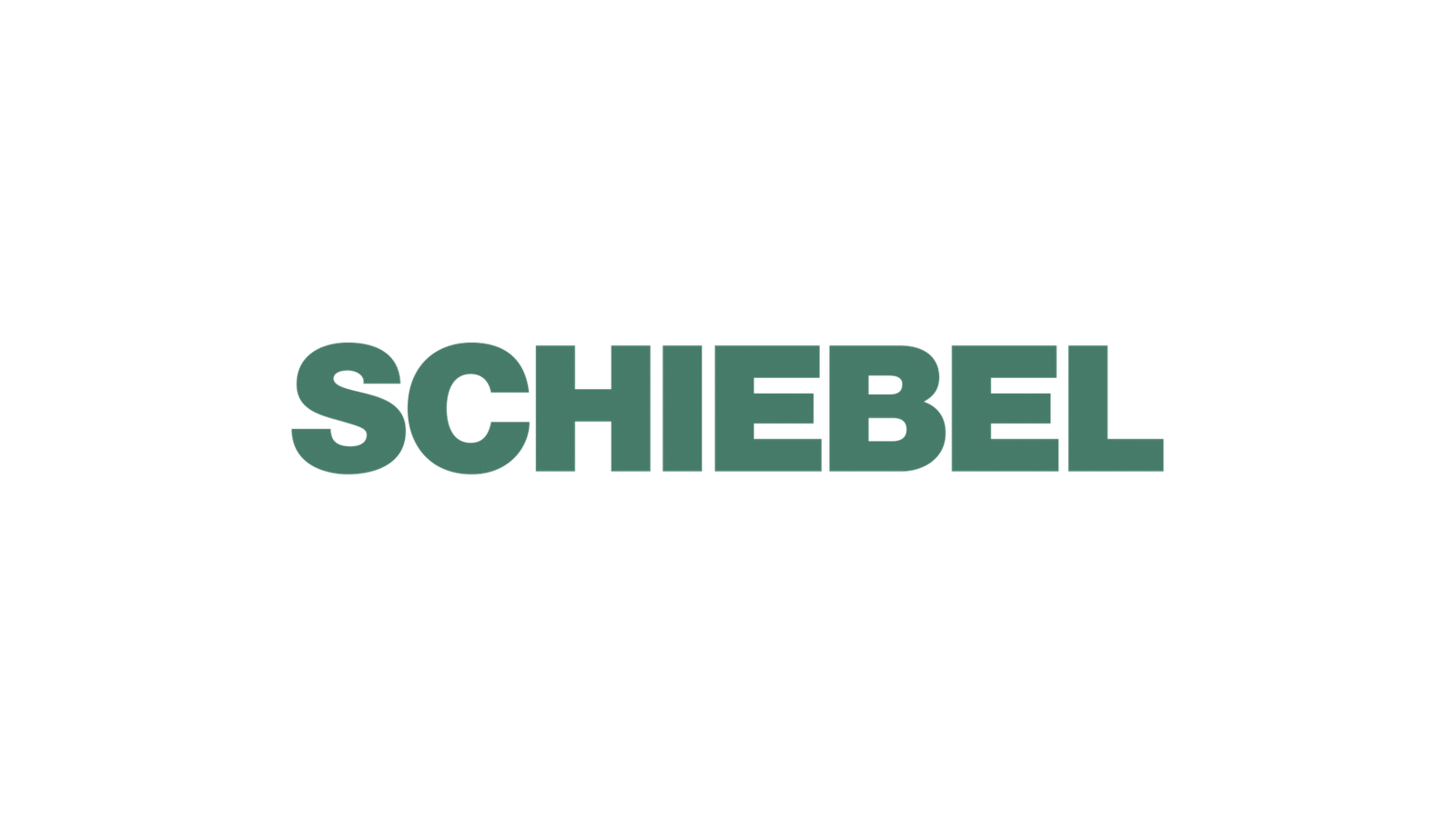 Schiebel company media