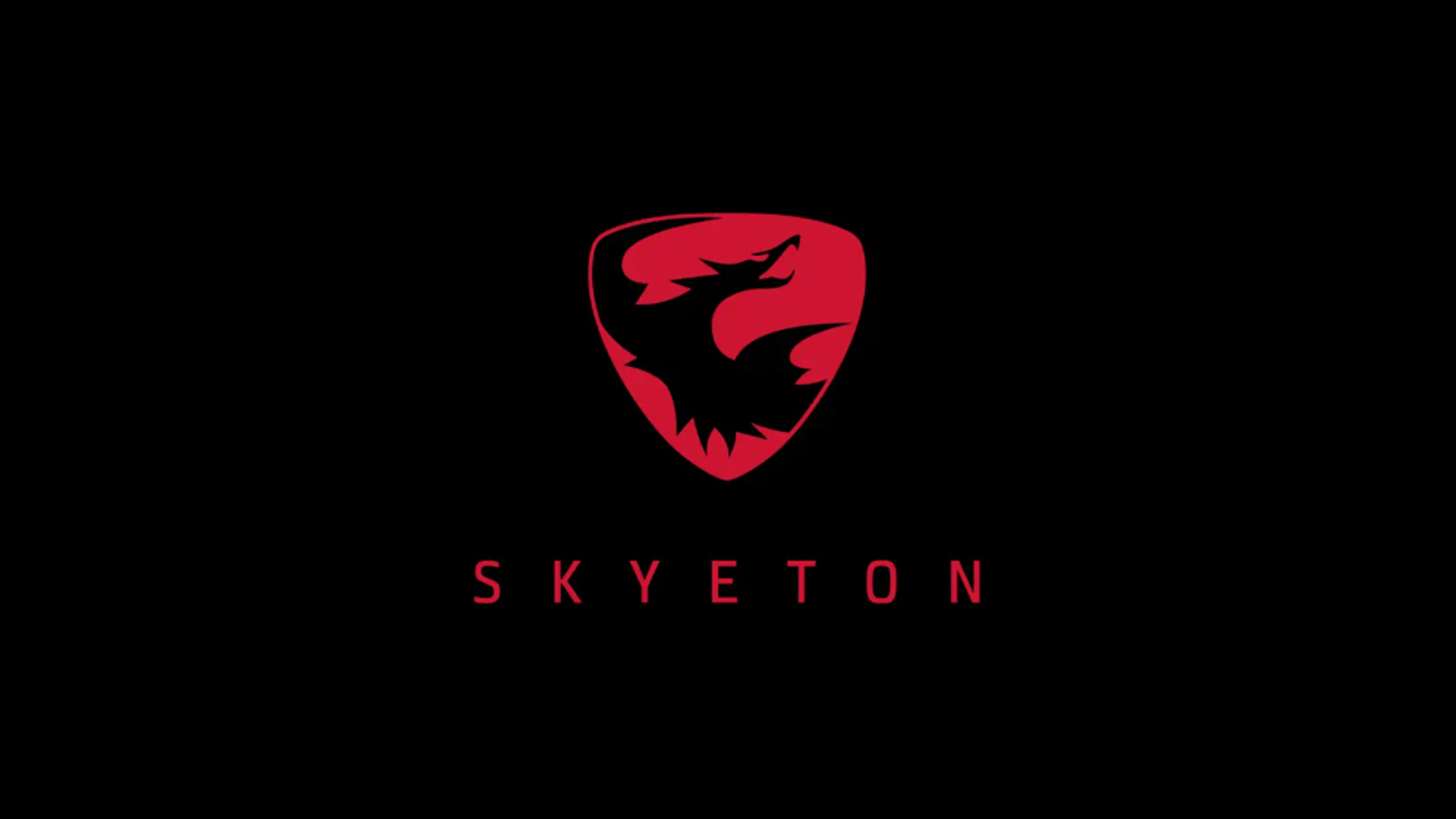 Skyeton company media