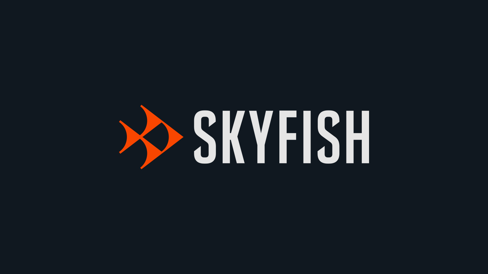 Skyfish company media