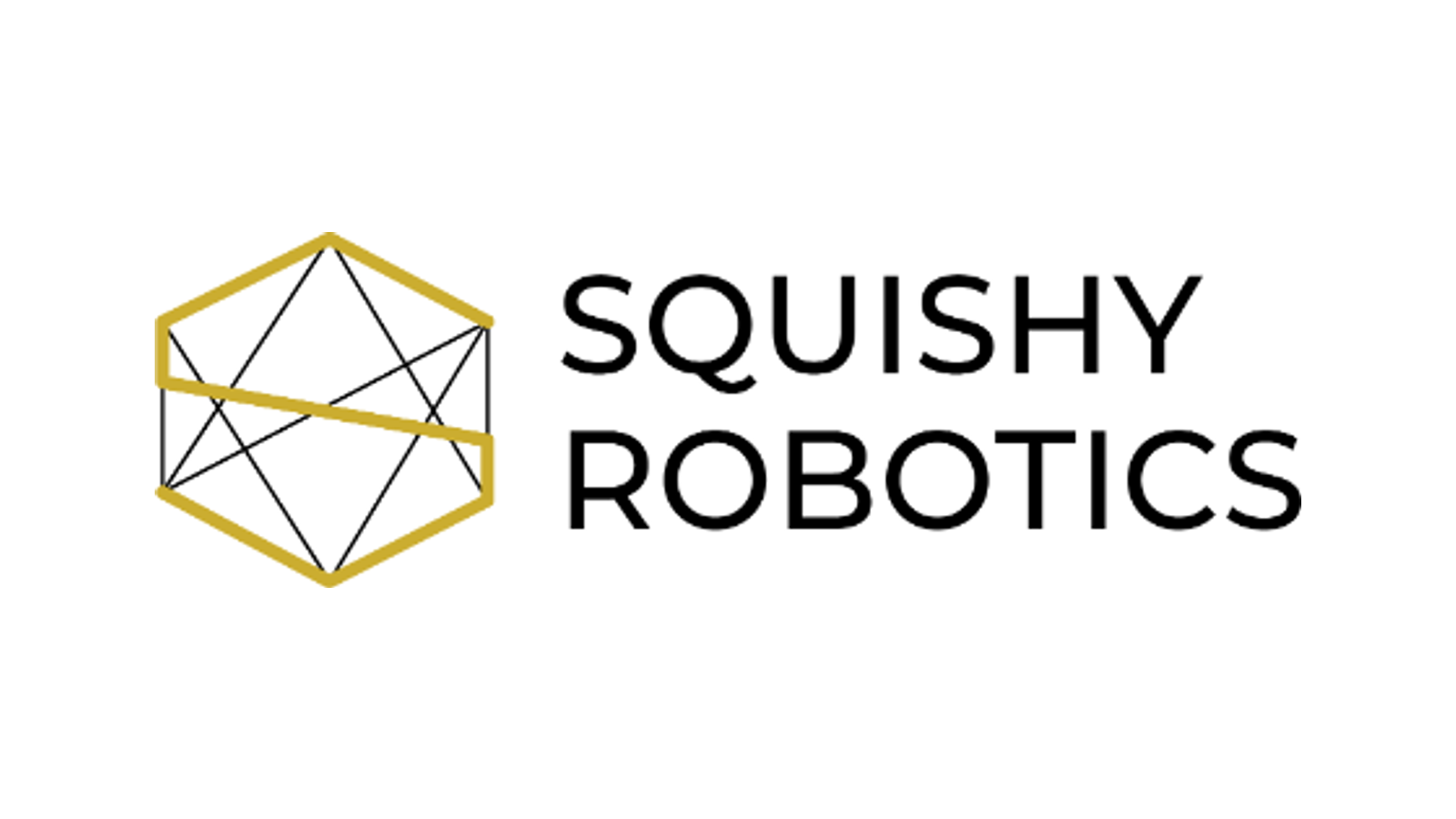 Squishy Robotics company media