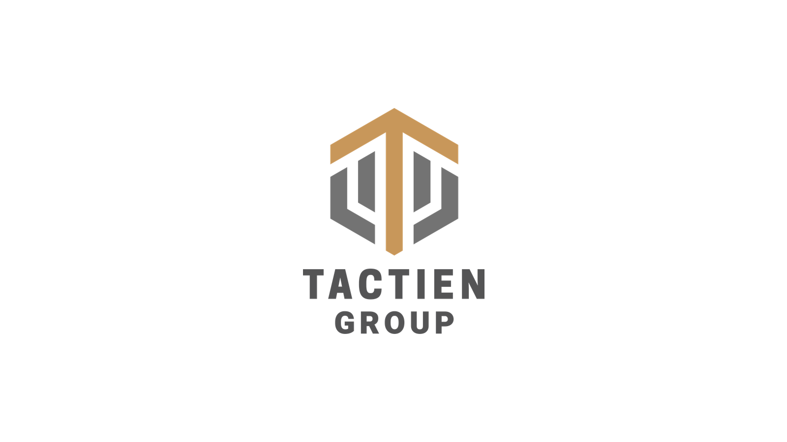 The Tactien Group