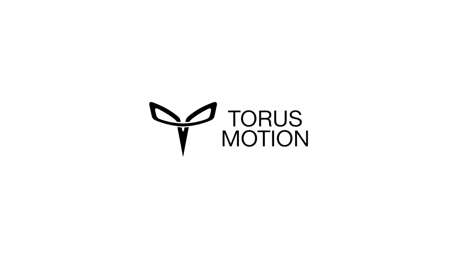 Torus Motion