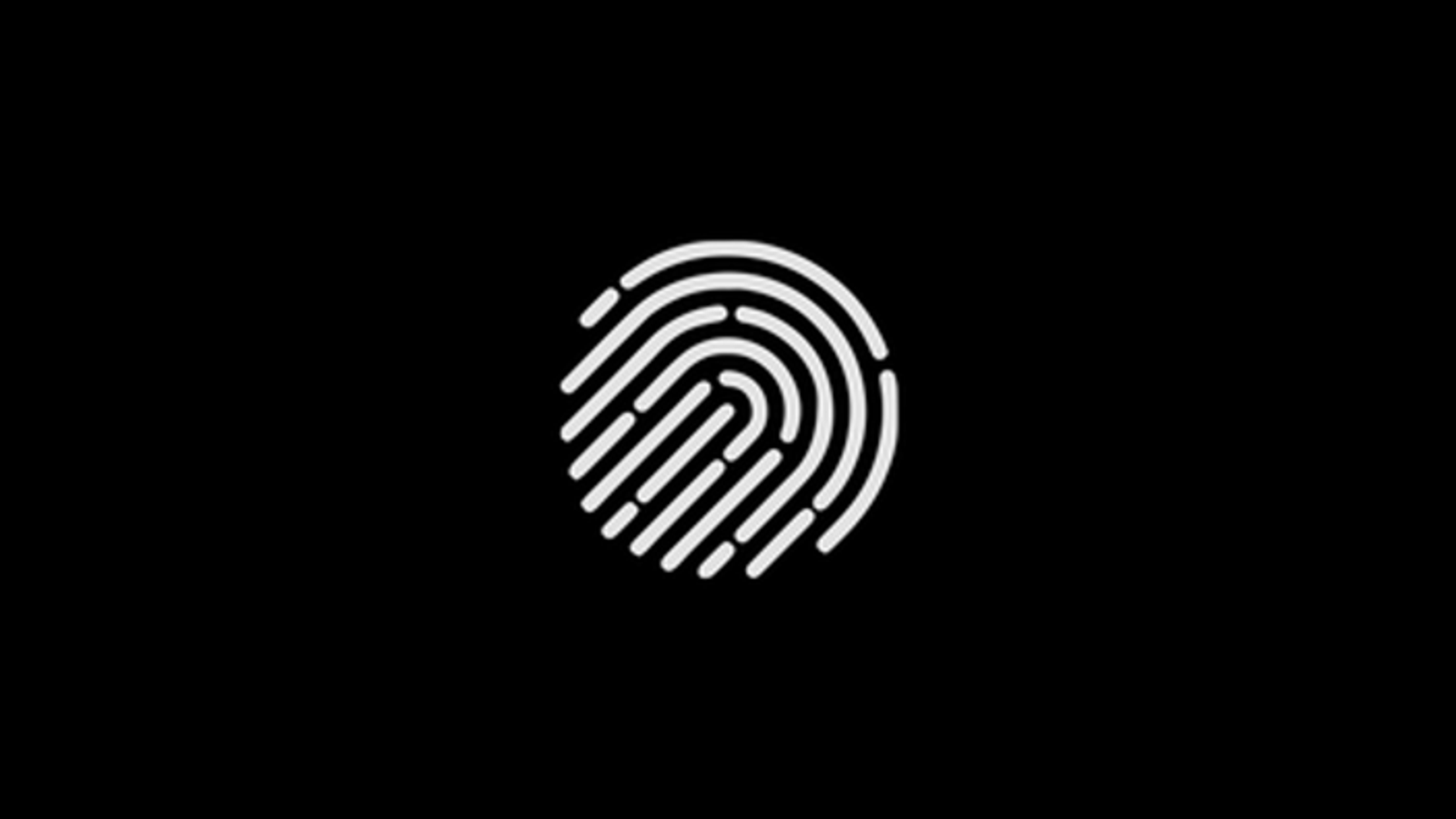 Touchlab Robotics company media
