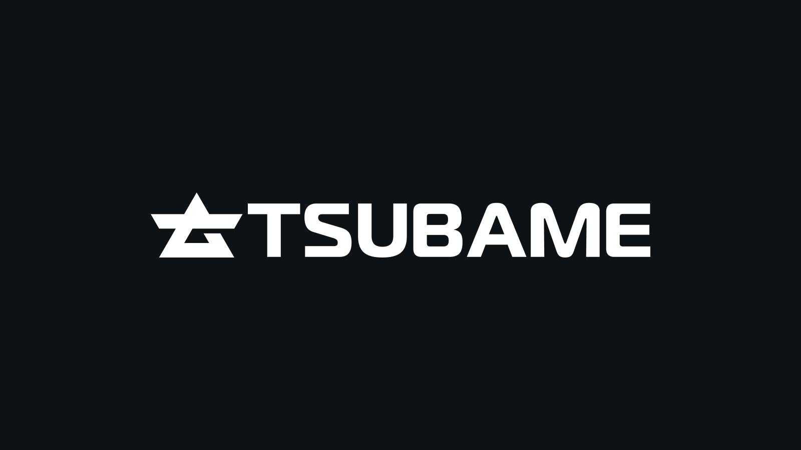 Tsubame Industries company media
