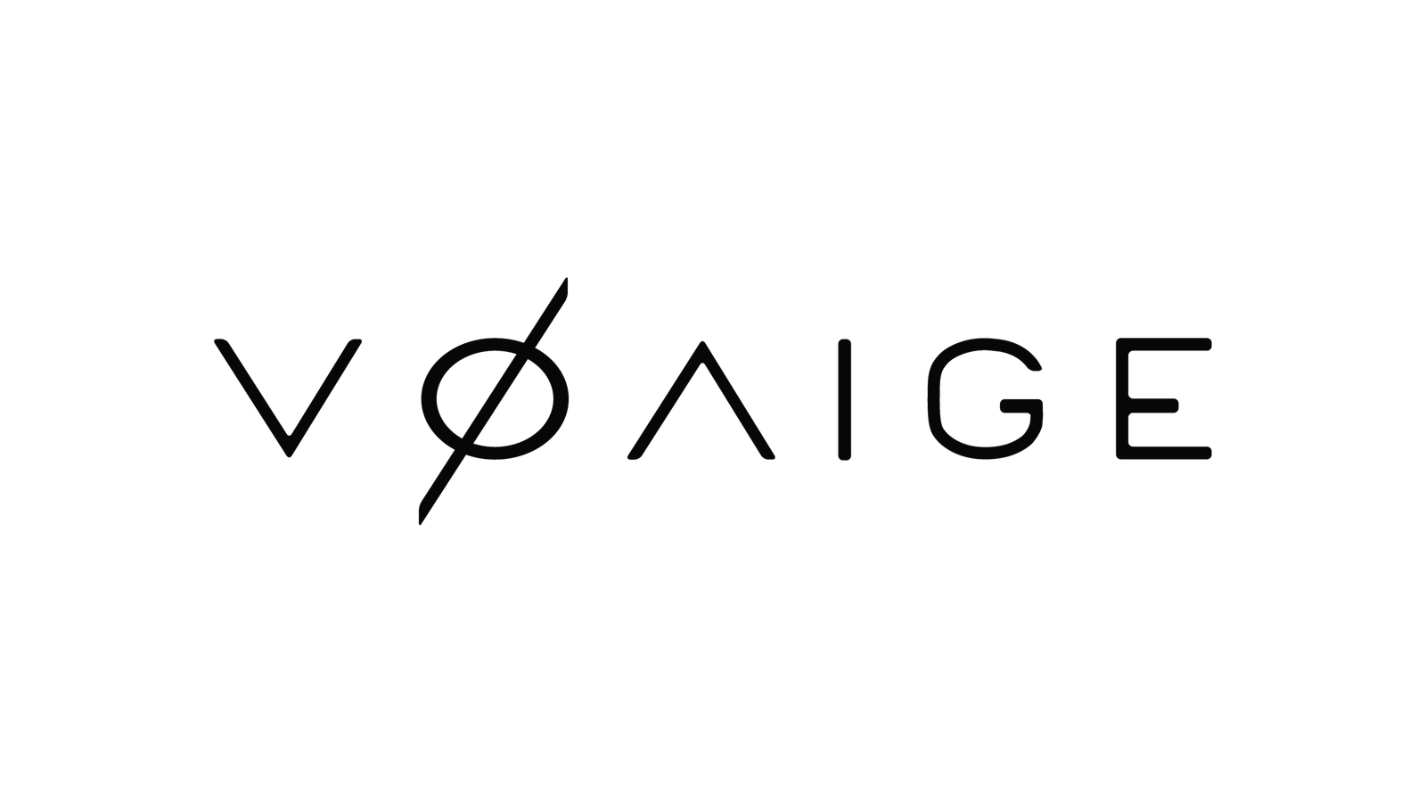 Voaige company media