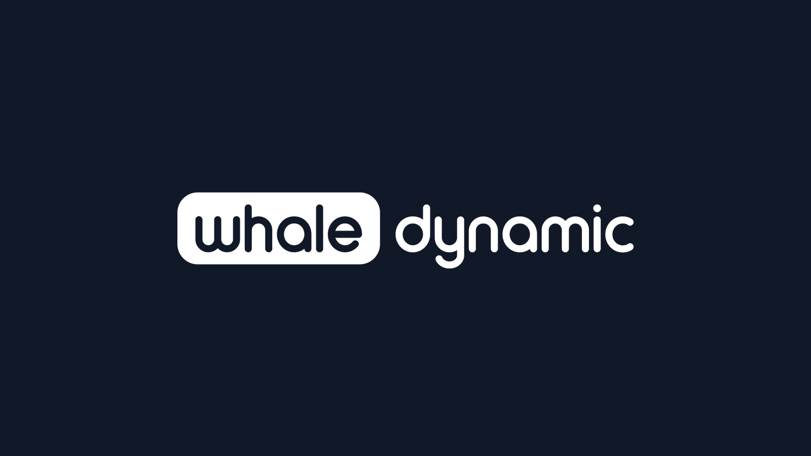 Whale Dynamic company media
